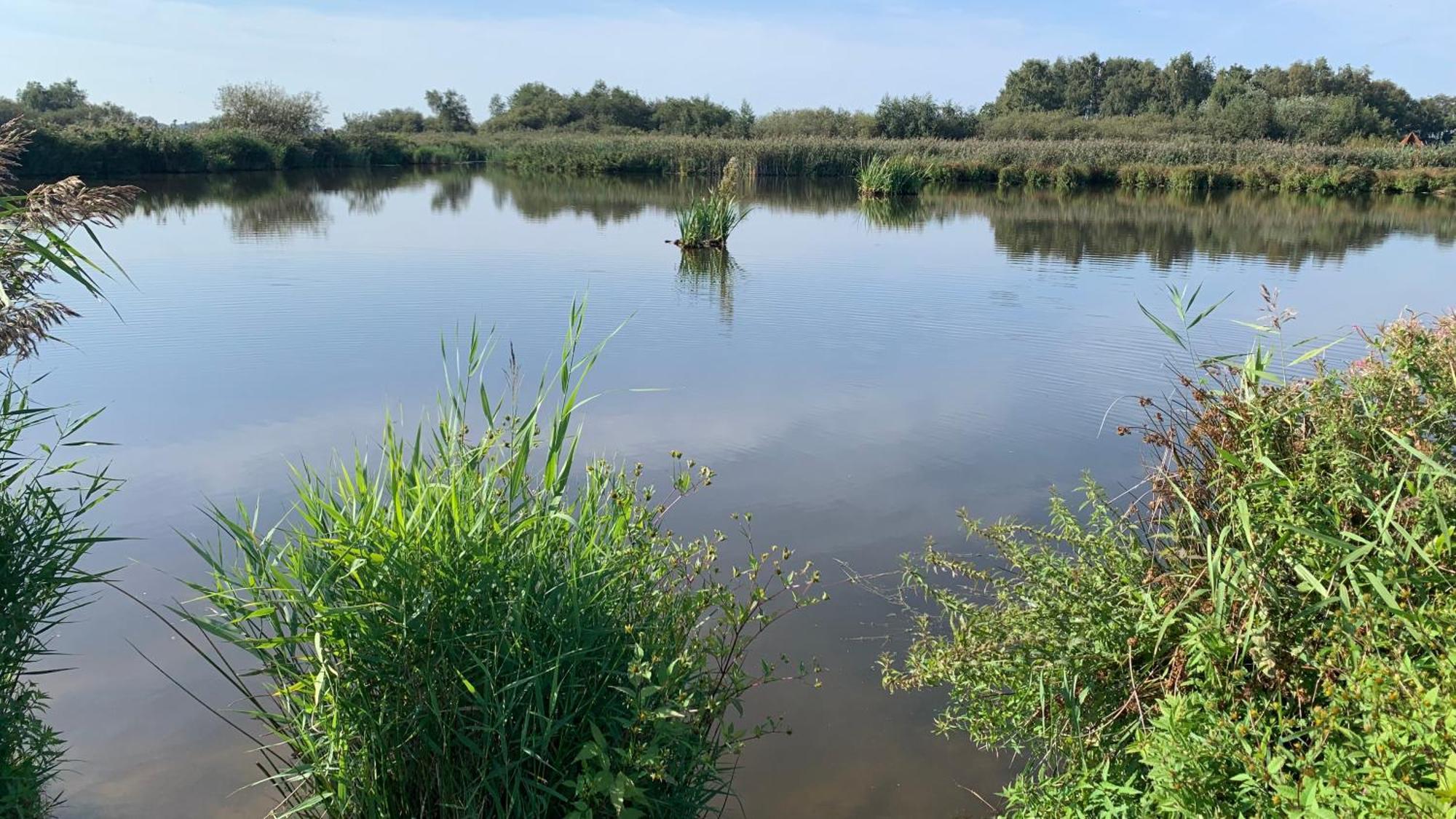 'T Paviljoenhus Bij Sneekermeer Offingawier Exteriér fotografie